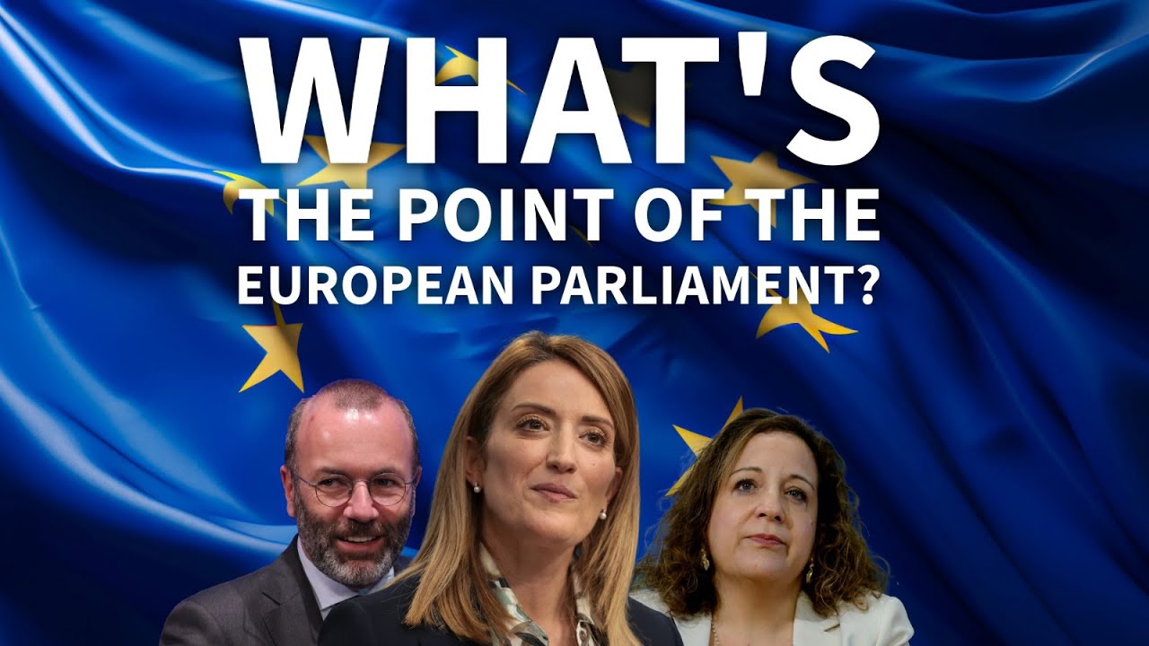 What&rsquo;s the point of the European Parliament?