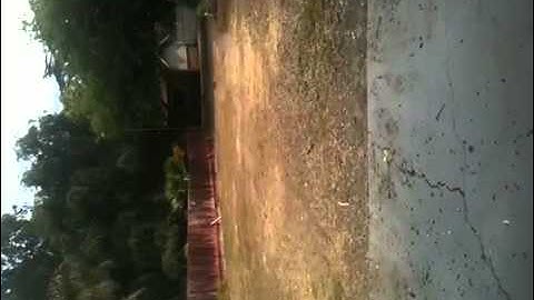 Sc10 4x4 vs traxxes slash 4x4