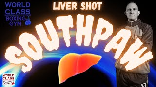Exposing the Liver Shot Using the Southpaw Boxing Style
