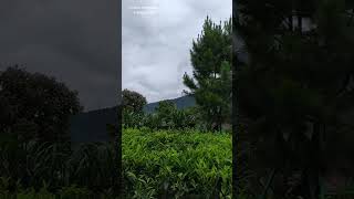 Cover Naff Ang  Firman Bali 