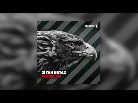 Hakan Altun - Beşiktaş Sensin Aşk - Official Audio - Esen Digital