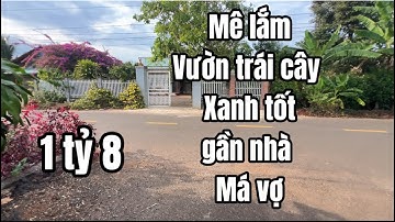 Khó khăn quá đành bán đất vườn cây ăn trái xanh tốt ngay trung tâm thị trấn ở BRVT