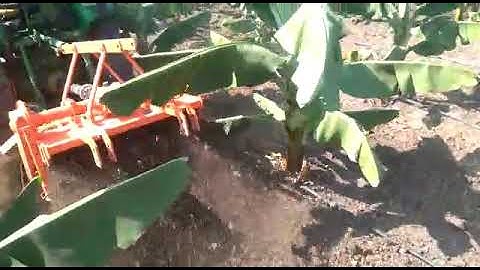 johndeer 3036 EN Attachment name: Reverse Forward rotavator in Banana Field Madaj Farmer