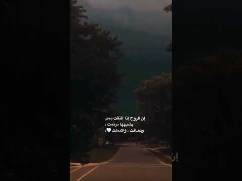 مستحيل اوصف جماله اغاني اغنيه شيرين حبيبي اغاني مصرية اغاني حب   