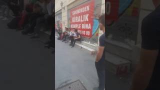 Grup Anemon Sese Bak Sese