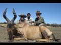 Travis Volk hunting Hartebeest in Namibia, Africa