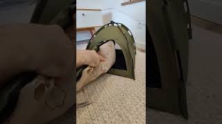Фото Палатка для кота из Алиэкспресс!