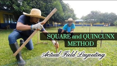 Actual Field Layouting of Planting System | Quincunx and Square Method