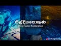 Underwater Nil Diya Pokuna (නිල් දිය පොකුණ / நீல நீர் குளம்) - Expedition 9 full video