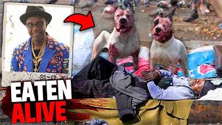 This Man Was EATEN ALIVE By Pack of PITBULLS During Late Night Walk!
