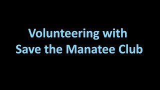 Volunteer for Save the Manatee Club