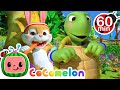 The Tortoise and the Hare   Baa Baa Black Sheep   MORE ! | @Cocomelon - Nursery Rhymes ​| Kids Songs