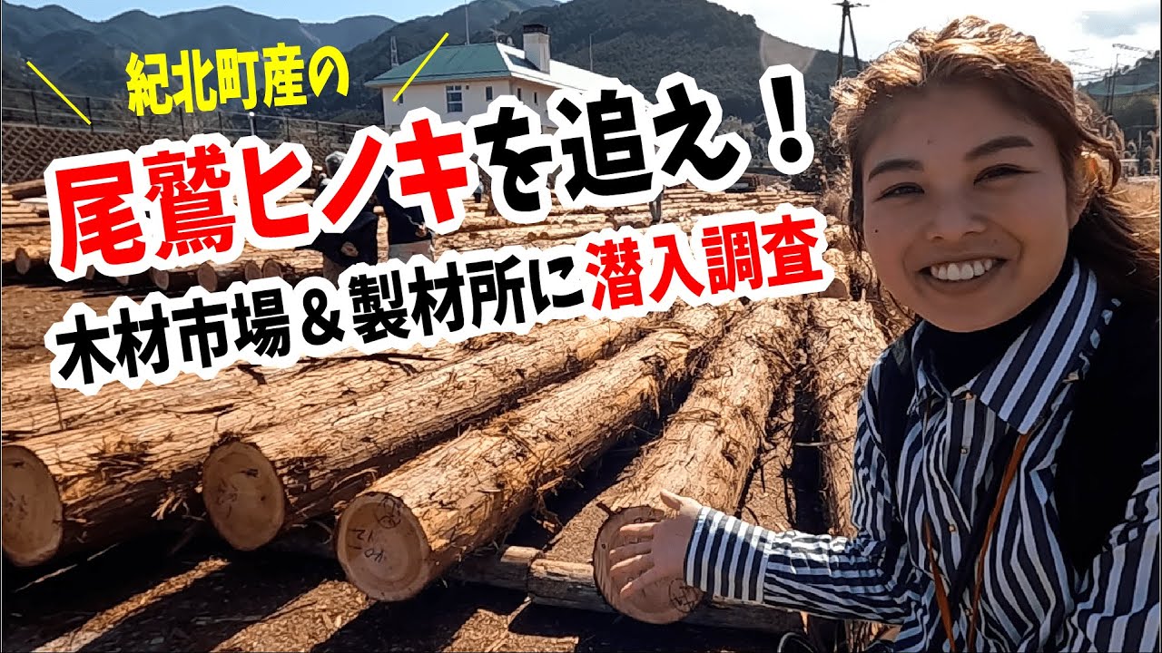 潜入】日本三大美林の尾鷲ヒノキっていくらなの?どこへ行くの? - YouTube 潜入】日本三大美林の尾鷲ヒノキっていくらなの?どこへ行くの? - YouTube