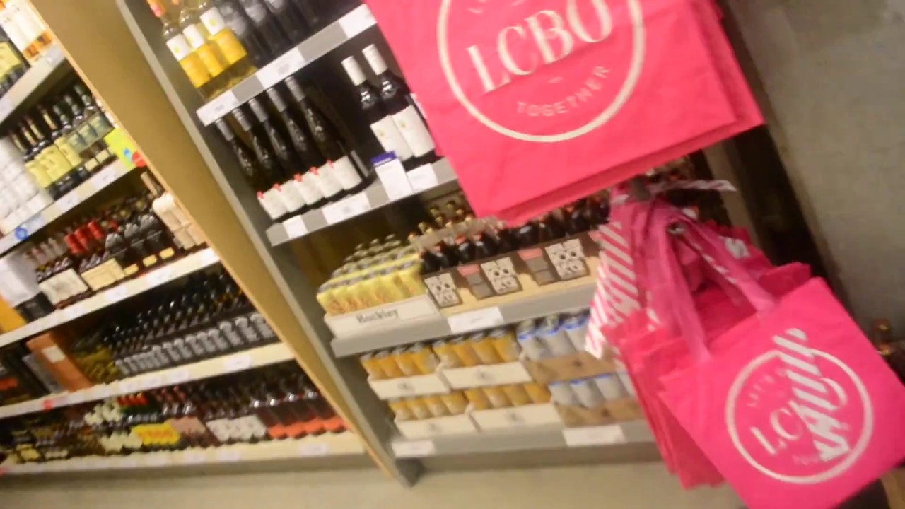 True North Vlogs   Date night in Toronto