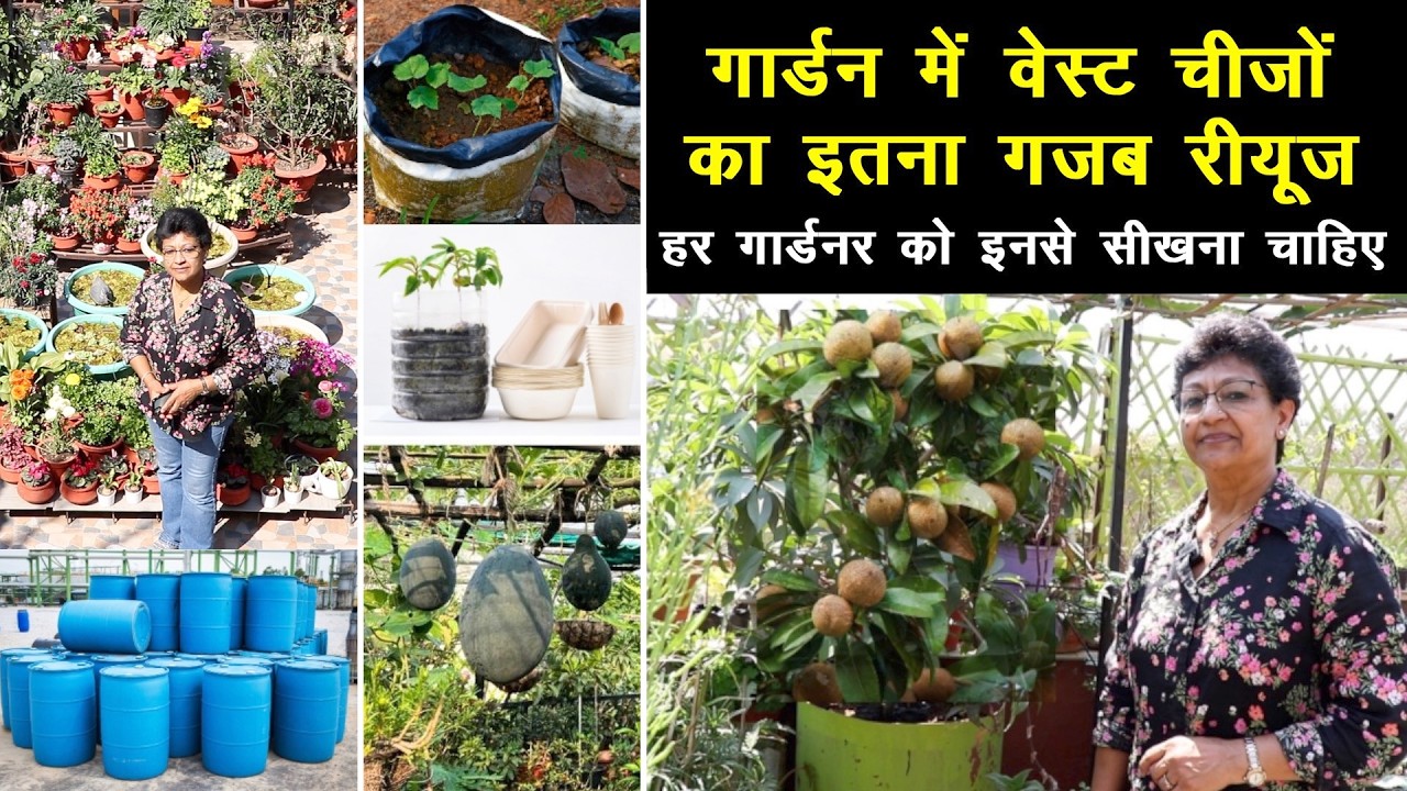 Waste Materials का गार्डन में ऐसा यूज कहीं नहीं देखा होगा 😍 Best Out of Waste || Unique Farming