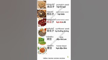 Từ Vựng Tiếng Trung | Chinese Vocabulary | 中文词汇 | Learn Chinese