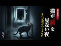 灯りを落とした瞬間、猫が“鏡だけ”見なくなる夜——あなたの家で起きている本当の理由