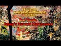 Phong lá đỏ- tuyệt phẩm thiên nhiên của Nhật Bản