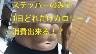 １日でステッパーだけでどれだけカロリー消費出来るのか検証してみた