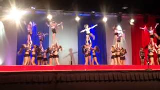 American Cheer Silver