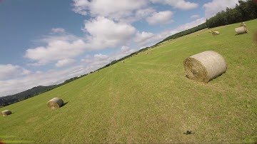 Sunday flow /Betaflight 3.2/Dynamic Filter/