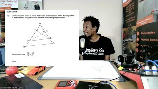 Celebrity How to Prove the Proportionality Theorem | Parallel Lines in a Triangle & Applications Profile