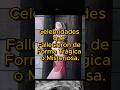 Celebridades que Fallecieron de Forma Trágica o Misteriosa.