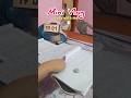 5.00 pm. CMA Inter Study Vlog 📚📑 #viral #minivlog #cmainter #asmr #study #trending #ytshorts