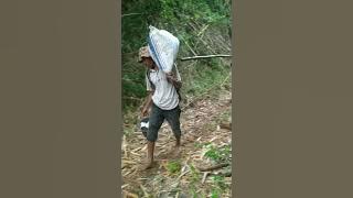 Edi and Apih in action