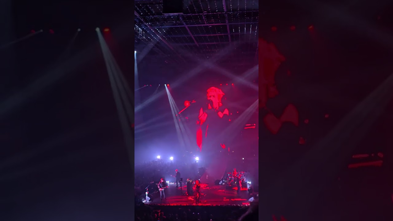 INDOCHINE ARENA TOUR PUNISHMENT PARK   TOULOUSE 25 OCTOBRE 2025
