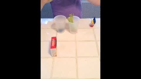 Science Sleuths Color Changing Celery Science Experiment for Kids