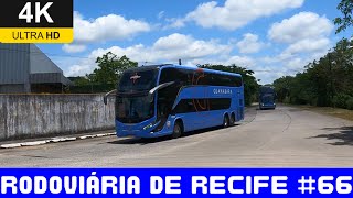 #66 Movimentação De Ônibus Chegando e Saindo Da Rodoviária De Recife