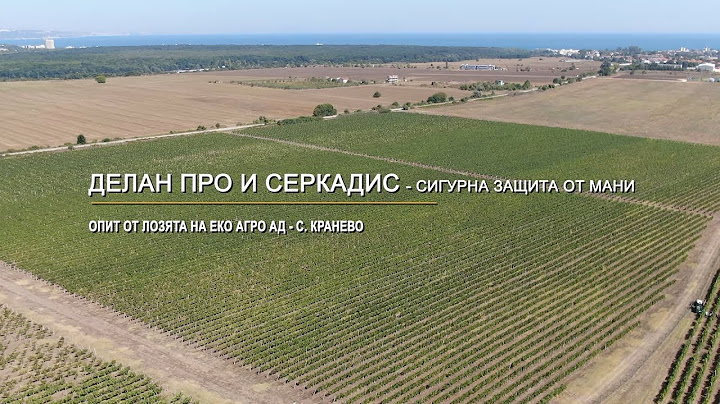Пълна защита на лозовите масиви с продуктите на БАСФ Решения в Земеделието България (Част 2)