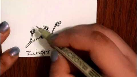 Tangle Tutorial   Zinger