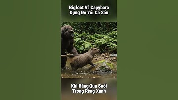 Vượt Suối Giữa Rừng – Bigfoot Và Capybara Suýt Bị Cá Sấu Kéo Xuống Nước! #bigfoot #capybara #shorts