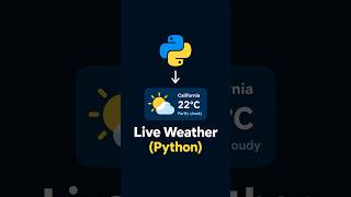 Get Live Weather Data with Python in Just a Few Lines