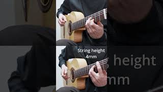 (2mm vs 4mm) Guitar string height