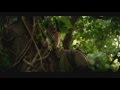 !f 2013 - Jin Trailer