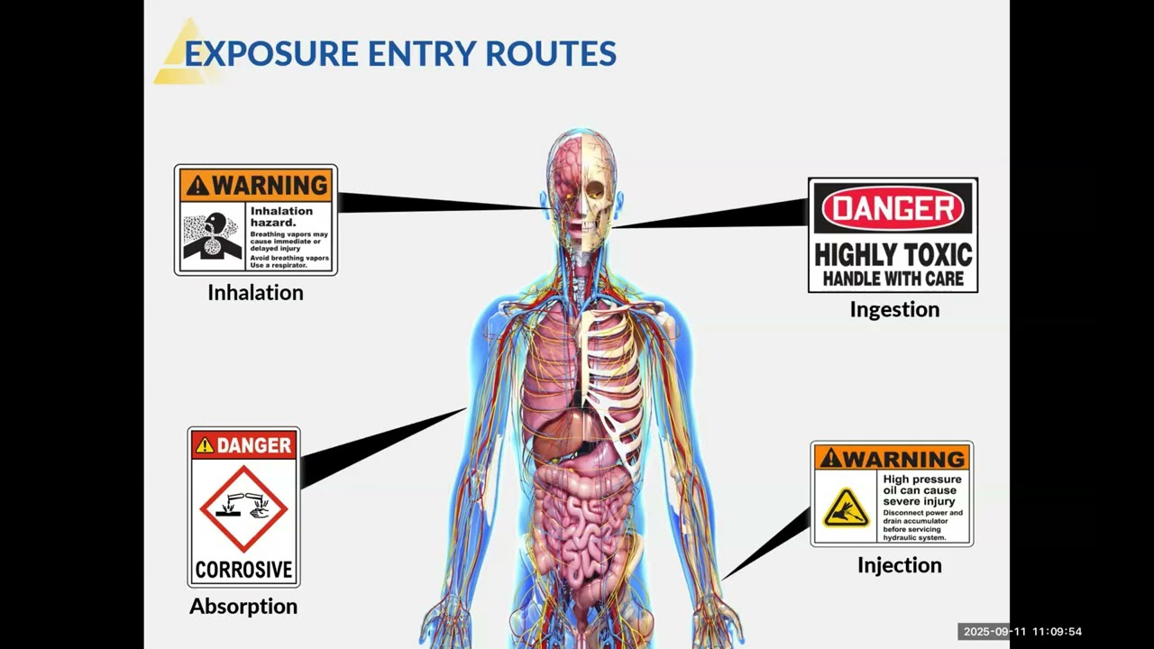 Industrial Hygiene in the Workplace Webinar