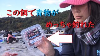 釣り堀　海恵　かいえい　まさかの青物連続！？すごい餌をつかってみた！