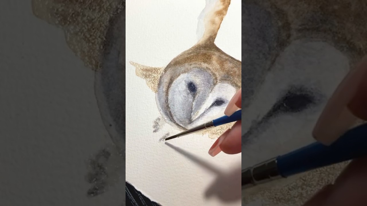Barn owl watercolor, hope you enjoy 🫶 