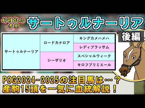 【POG2024-2025/サートゥルナーリア後編】母がG1馬の産駒、高額落札馬の評価は！？新種牡馬サートゥルナーリア初年度産駒のうち15頭を血統解説！【バーチャルサラブレッド・リュウタロウ】