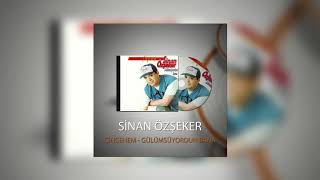 Sinan Özşeker - Şekerim Resimi