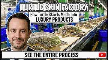 Turtle Skin Factory – How Turtle Skin Is Made Into Luxury Products | See total Process