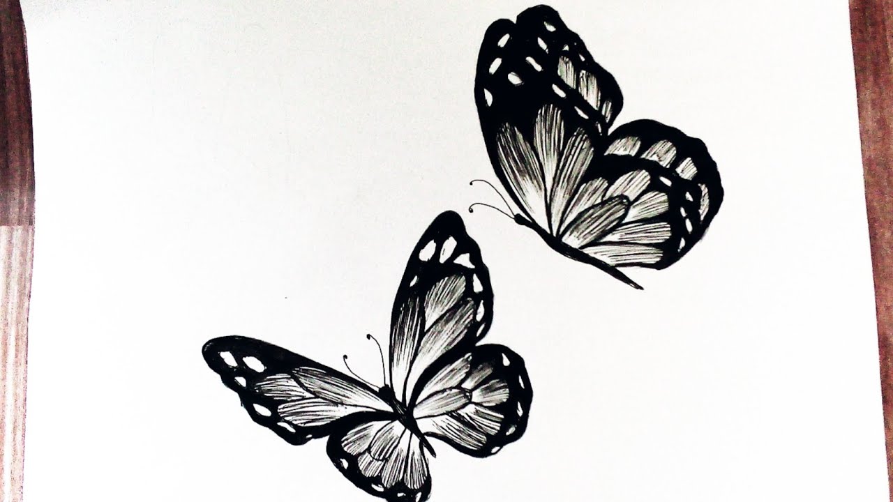 How to draw butterflies easy step by step || Butterfly drawing tutorial ...