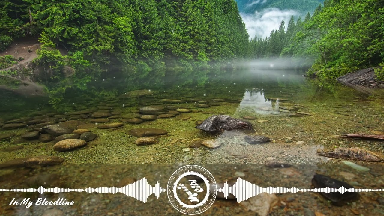 Ryan Gillmor - In My Bloodline