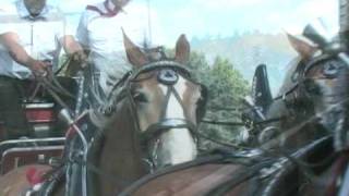 Murray Country Draft Horse Expo