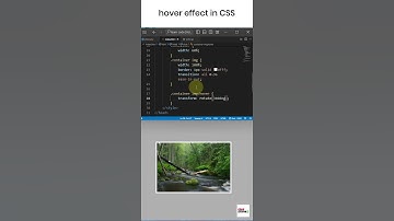 How to make hover effect in CSS #shorts #css #tutorial
