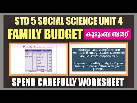 Video: Fælles Familiebudget