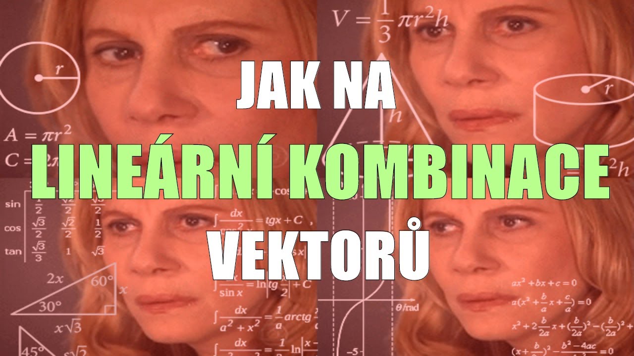 Jak na lineární kombinace vektorů - MATEMATIKA ONLINE